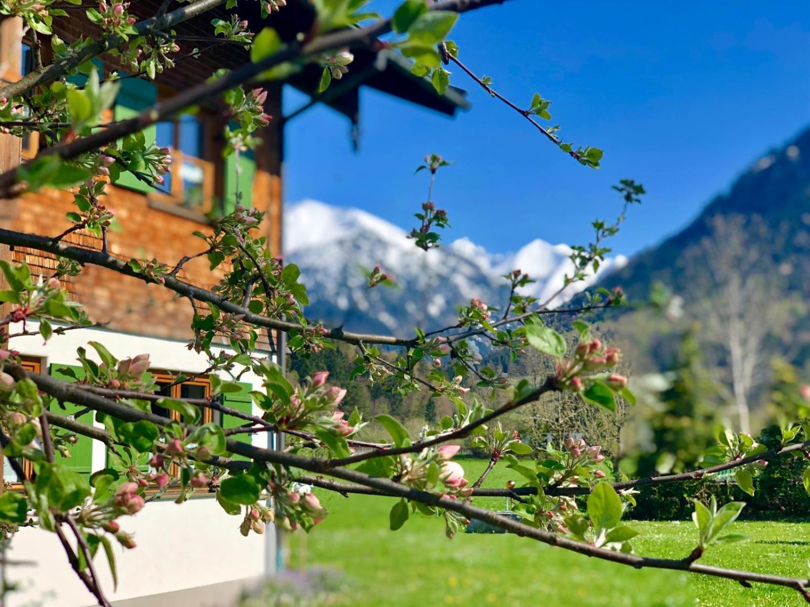 Landhaus Berktold Appartement Oberstdorf Buitenkant foto